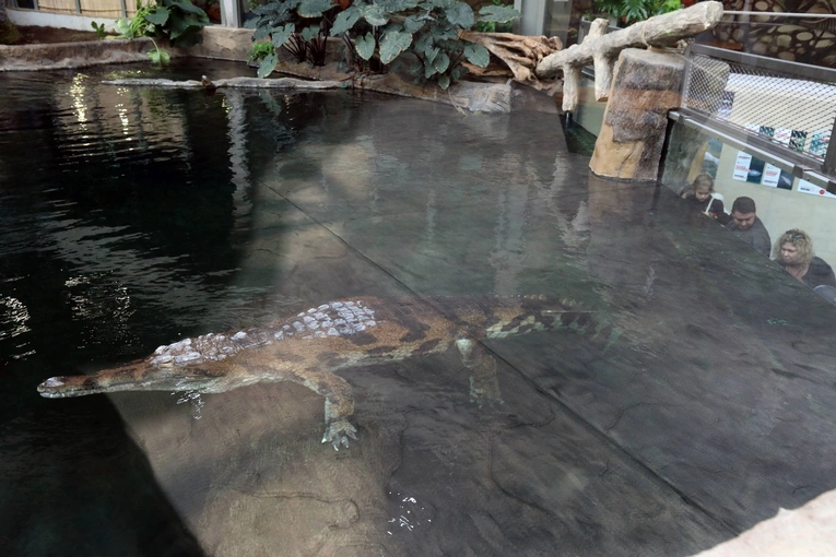Z wizytą w Łódzkim ZOO