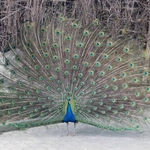 Z wizytą w Łódzkim ZOO