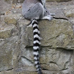 Z wizytą w Łódzkim ZOO