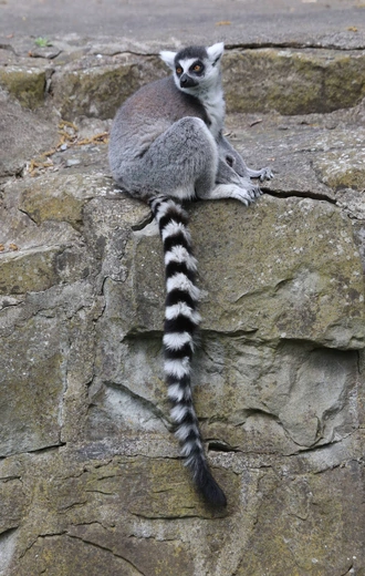 Z wizytą w Łódzkim ZOO