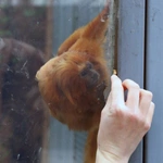 Z wizytą w Łódzkim ZOO