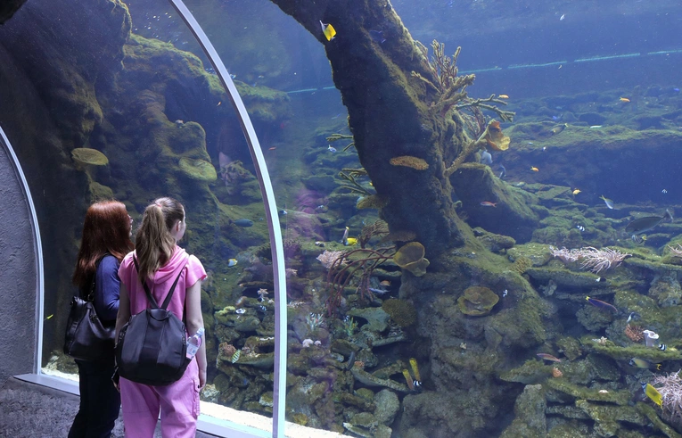 Z wizytą w Łódzkim ZOO