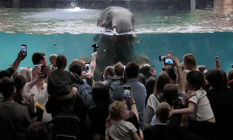Z wizytą w Łódzkim ZOO