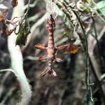 Z wizytą w Łódzkim ZOO