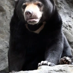 Z wizytą w Łódzkim ZOO