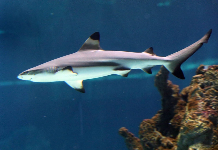 Z wizytą w Łódzkim ZOO