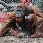 Z wizytą w Łódzkim ZOO