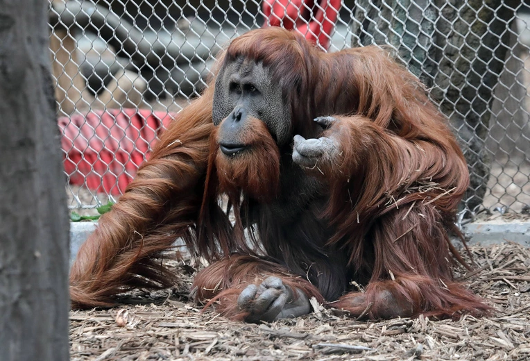 Z wizytą w Łódzkim ZOO
