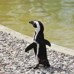 Z wizytą w Łódzkim ZOO