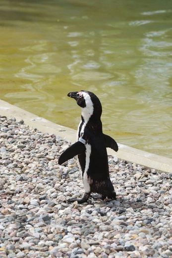 Z wizytą w Łódzkim ZOO
