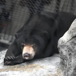 Z wizytą w Łódzkim ZOO