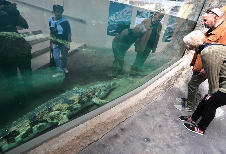 Z wizytą w Łódzkim ZOO