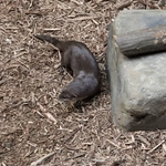 Z wizytą w Łódzkim ZOO