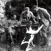 Animali Nella Grande Guerra 