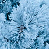    Zimowa aura pokazała wszystkie swoje oblicza  – od pięknego  po groźne.  