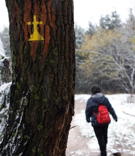 Na drodze wytrwałości