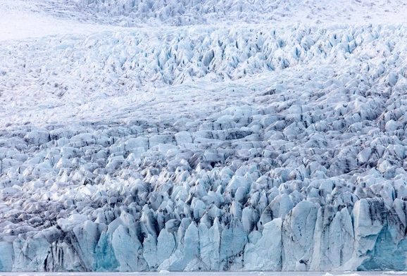 Groźna bakteria sprzed tysięcy lat 