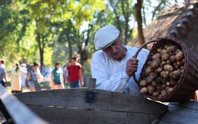 Wolontariat w lubelskim skansenie