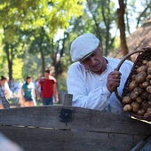 Wolontariat w lubelskim skansenie