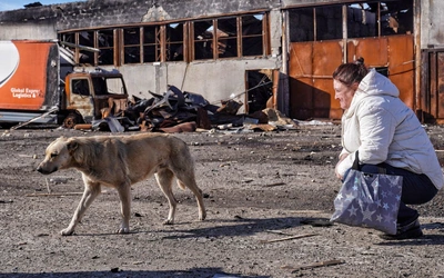 Strach, śmierć, zniszczenie...