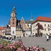 Świętość bez kanonizacji. Ślady kultu ks. Marcina Baryczki