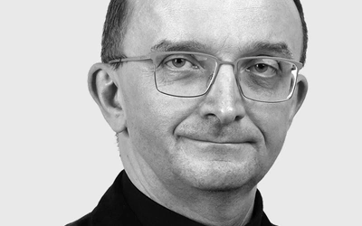 Wyjaśnić, aby przewidywać