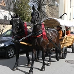 Damska banderia konna 