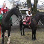 Damska banderia konna 