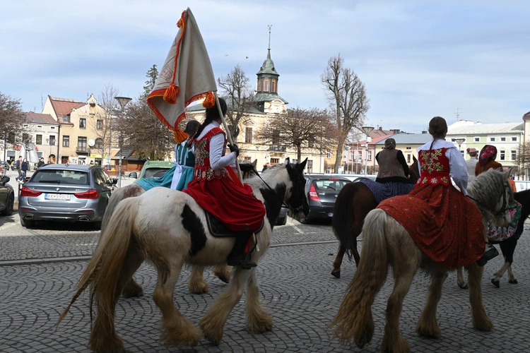 Damska banderia konna 