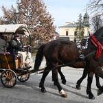 Damska banderia konna 
