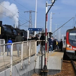 Parowóz nie tylko dla dam 