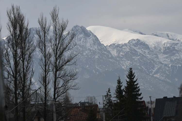 Parowóz nie tylko dla dam 