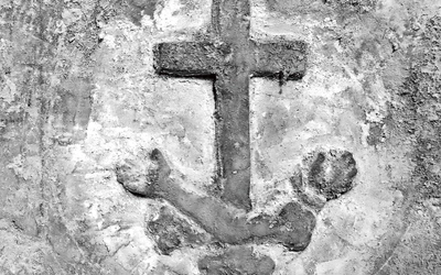 Gałęzie jednego drzewa