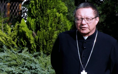 Potrzebujemy przeorać ziemię krakowskiego Kościoła