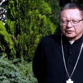 Potrzebujemy przeorać ziemię krakowskiego Kościoła
