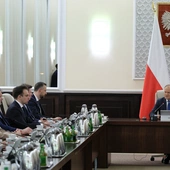 W odpowiedzi na weto do SAFE rząd rozpoczyna prace nad programem "Polska Zbrojna"