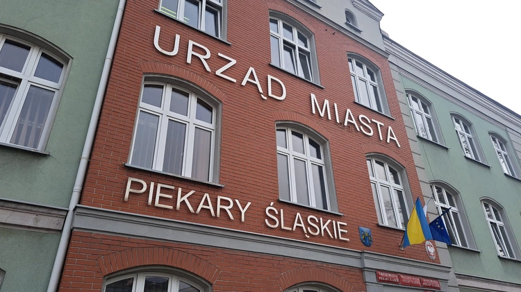 Plaga much w Piekarach Śląskich. Mieszkańcy apelują o interwencję