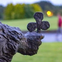 Święty z trójlistną koniczyną