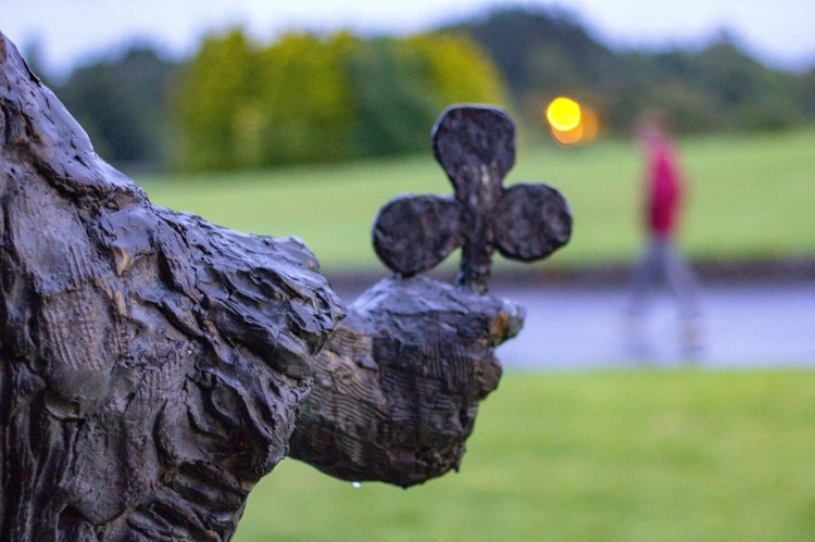 Święty z trójlistną koniczyną