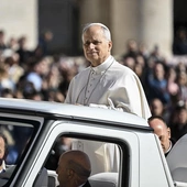 Czy papież Leon XIV zajmie się „objawieniami w Heroldsbach”?