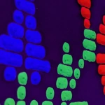 Wystawa artystki z Białorusi