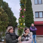 Tradycyjne palmy przygotowane przez KSM