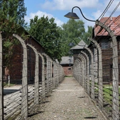 Muzeum Auschwitz przygotowuje się do remontu dwóch historycznych bloków