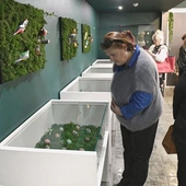 Batikowe pisanki w Chełmskim Muzeum