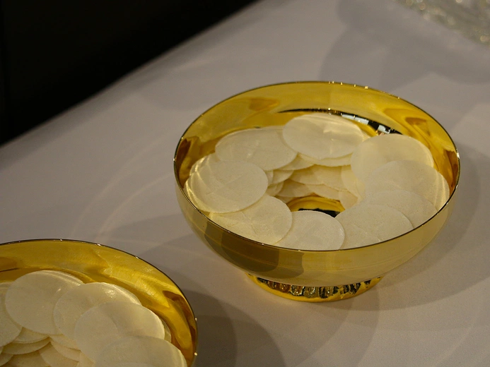 Ustanowienie nowych lektorów