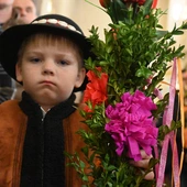 Niedziela pod palmami 