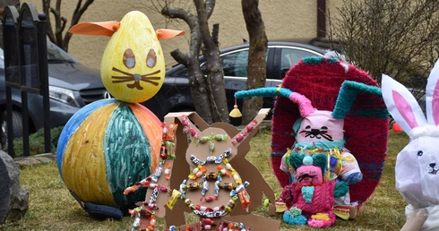 Zające opanowały Matemblewo