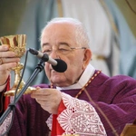 Płock. Ustanowienie lektorów