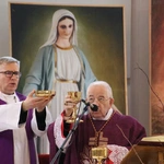 Płock. Ustanowienie lektorów