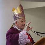 Płock. Ustanowienie lektorów